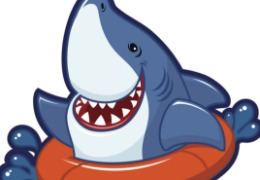 食品原料小百科：硫酸軟骨素可以用在什么地方？